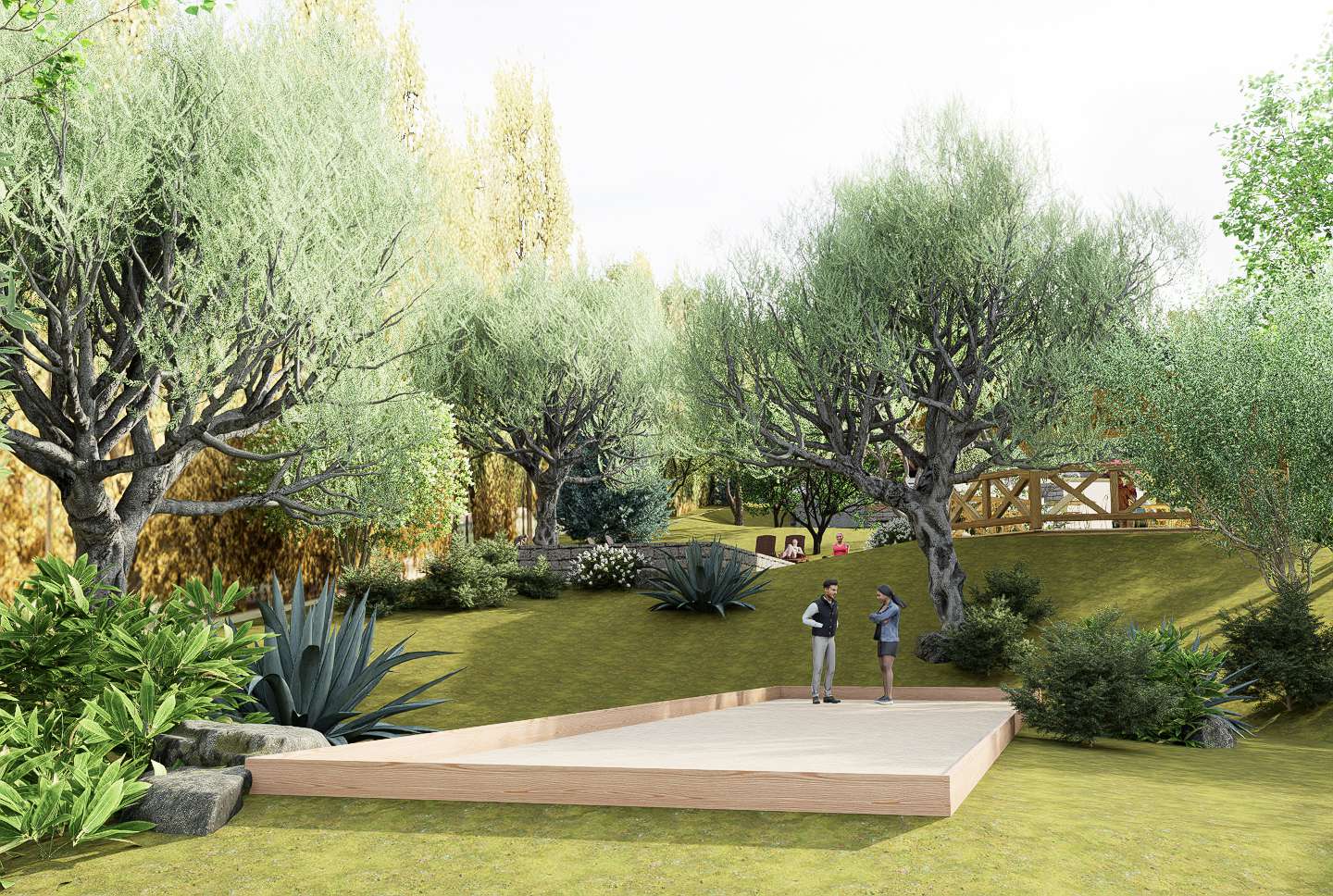 Terrain de pétanque à l’ombre des oliviers à Sotta