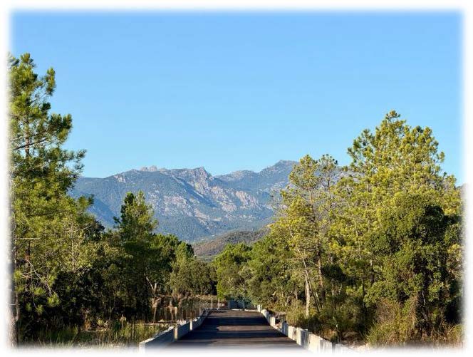 Allée du domaine Alinia face aux montagnes de Corse-du-Sud